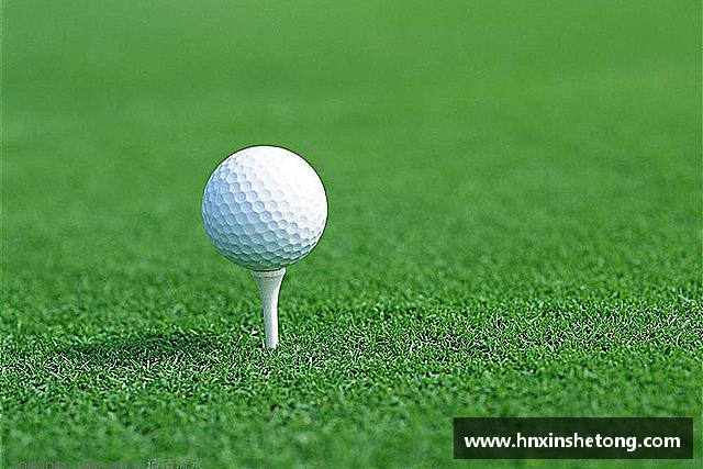 介绍BB贝博艾弗森